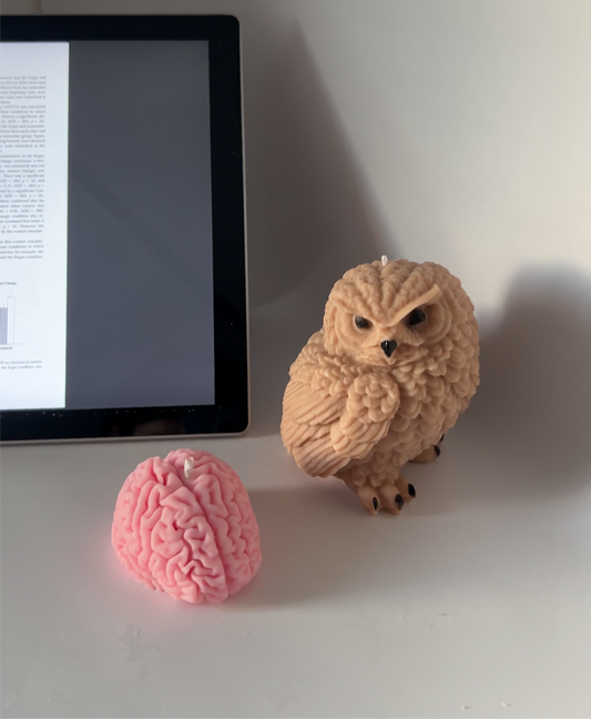 Owl + Brain Candle Bundle