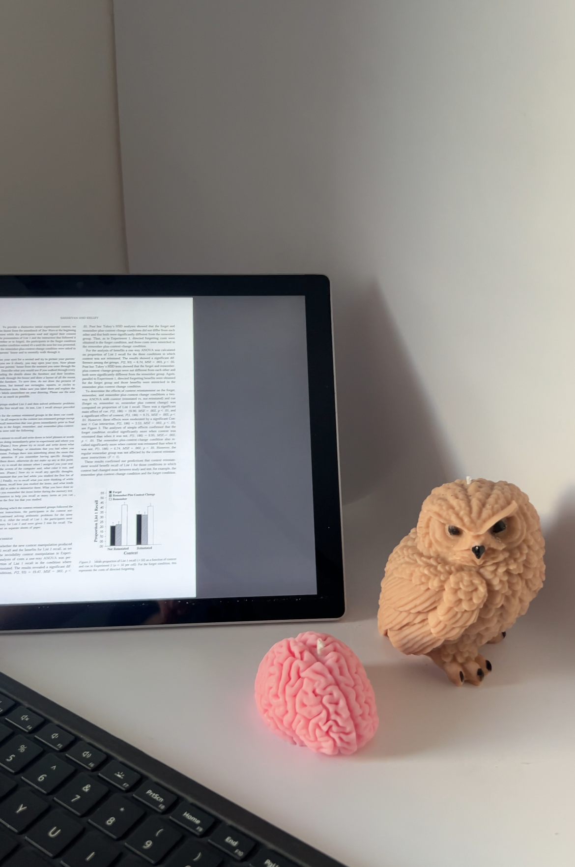 Owl + Brain Candle Bundle