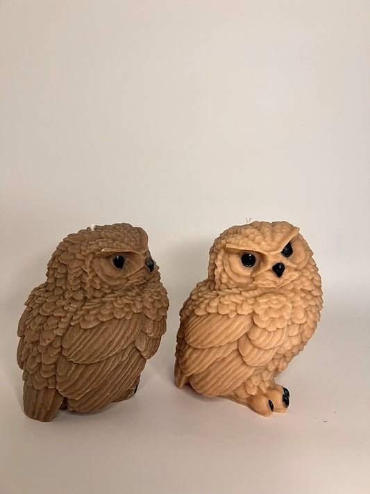 Hypothesis Hoot - Millionaire Man Inspired Scent