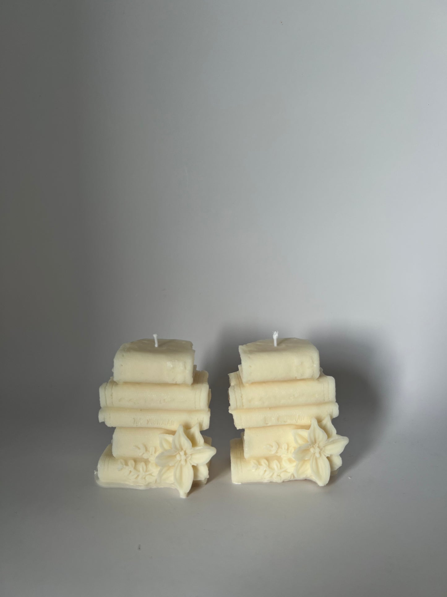 Mini Book Duo