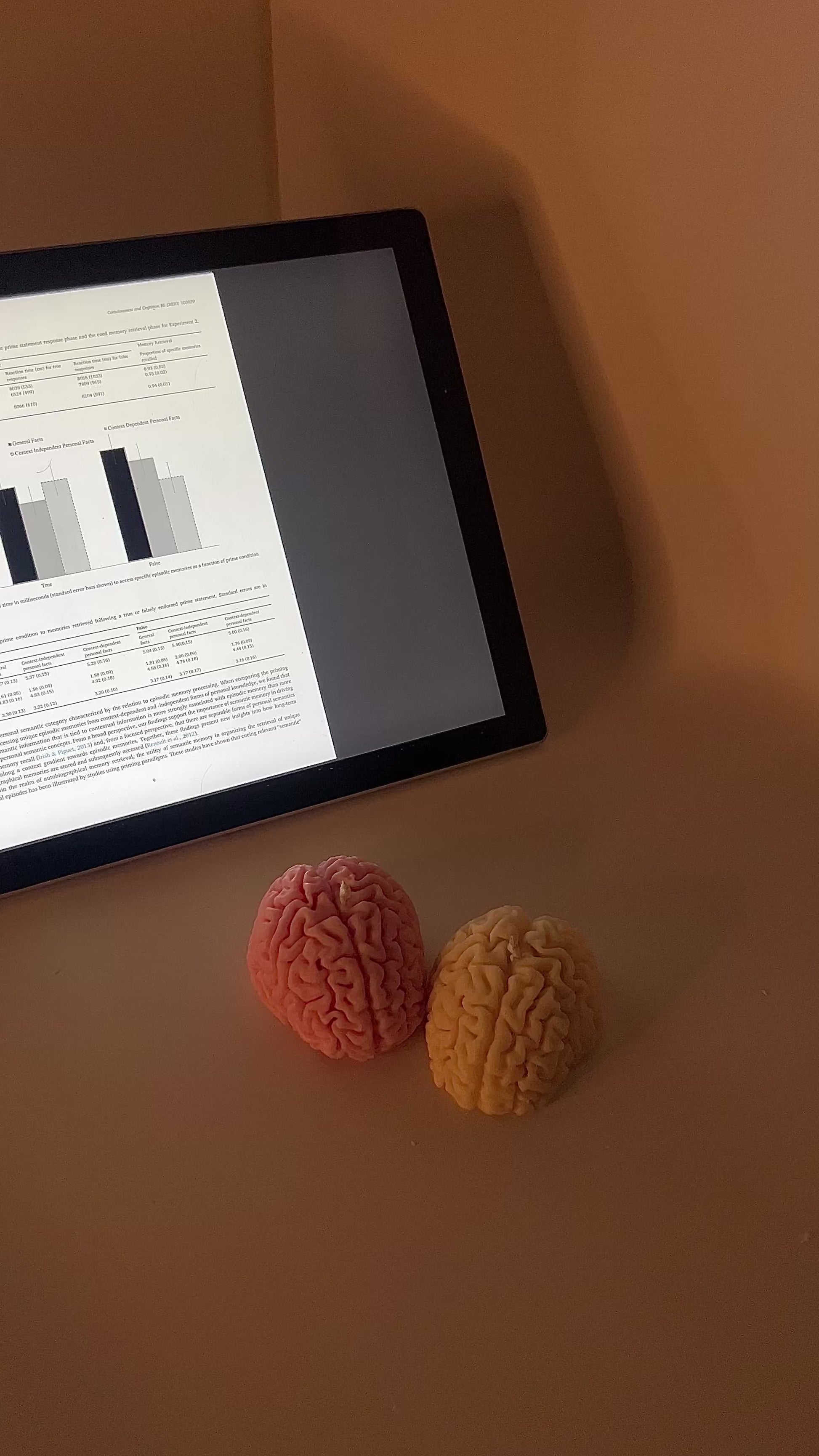 Handmade brain-shaped soy wax candles in pink and beige with honey and vanilla scent – aesthetic sculptural candle gift for home decor and relaxation. Neuroscience Gift. Study Gift.